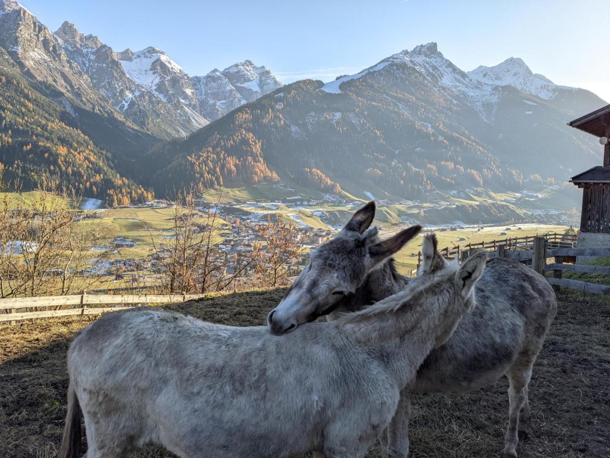 Apartmán Jedlerhof Neustift im Stubaital Exteriér fotografie